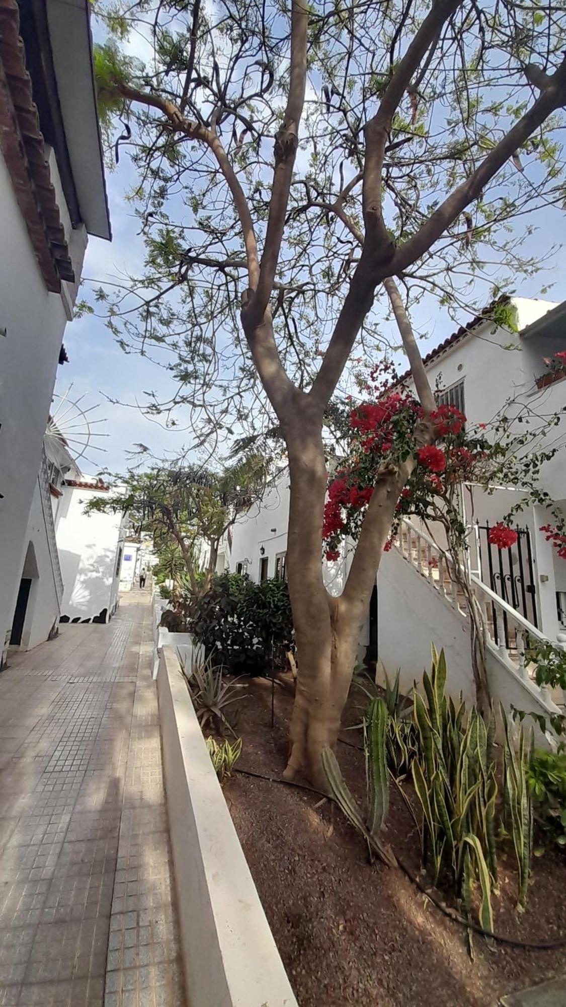 Playa Montana Amarlla,pools,wifi Apartment *